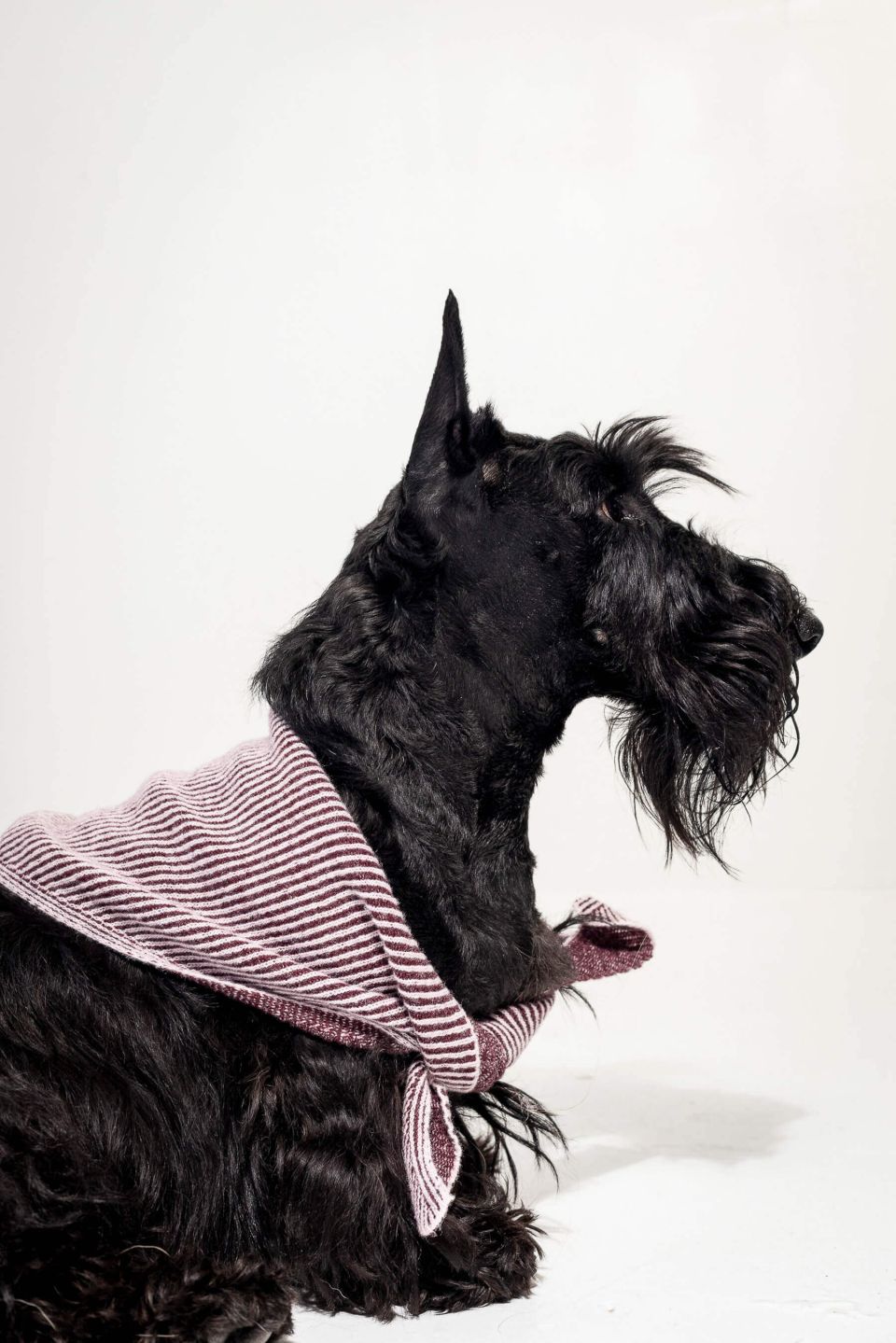Nala merino triangle scarf pink /dark red