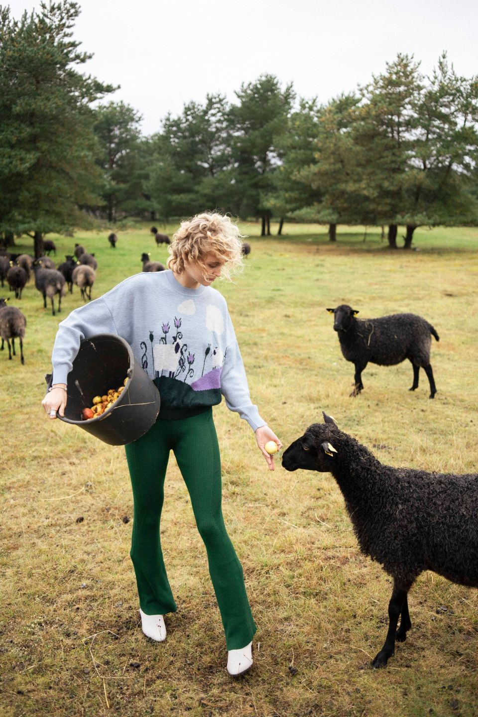 Sheep Stories NO.1 - HAPPY SHEEP sweater